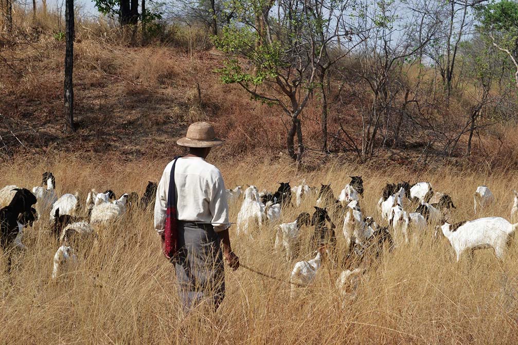 13227255_1093408754055869_8282695158406860167_o