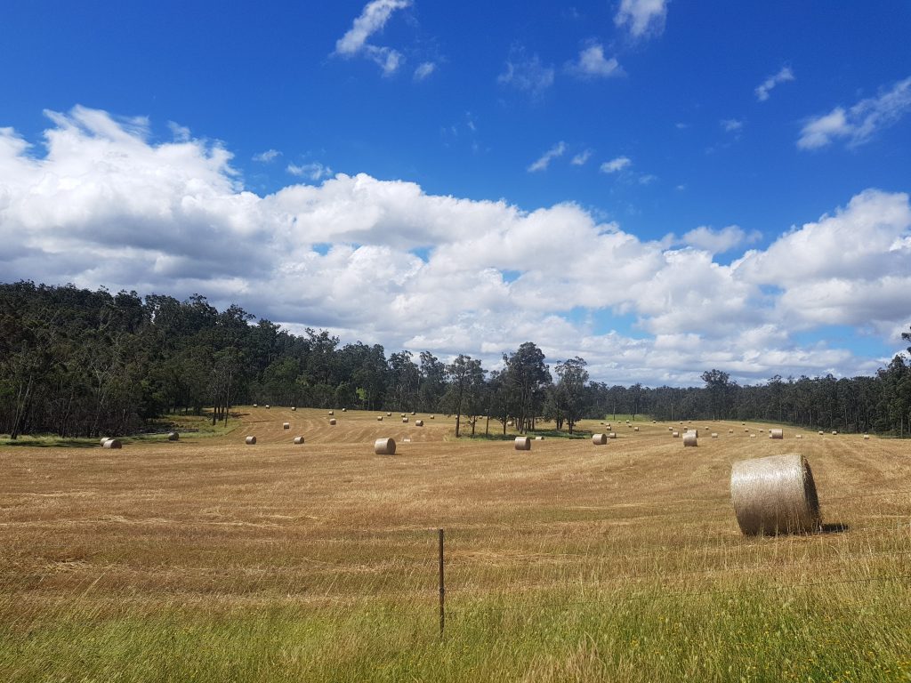 hay bales